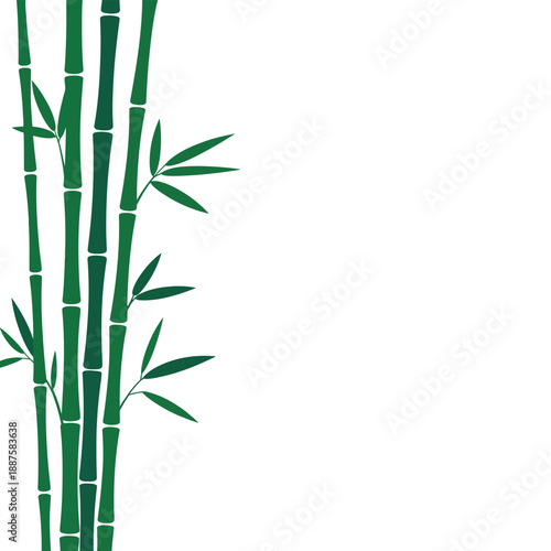 Bamboo stems with leaves on white background