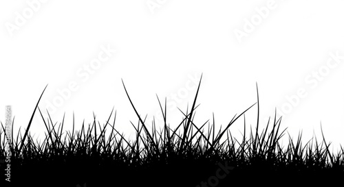 Swaying grass silhouettes against a stark white background from a low viewpoint