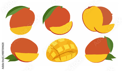 Mango tropical fruit vector set with whole and sliced mangoes isolated on white
