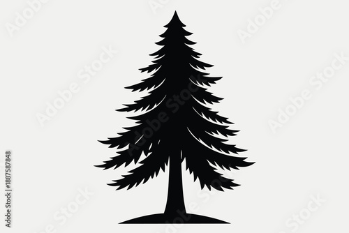 christmas tree isolated on white