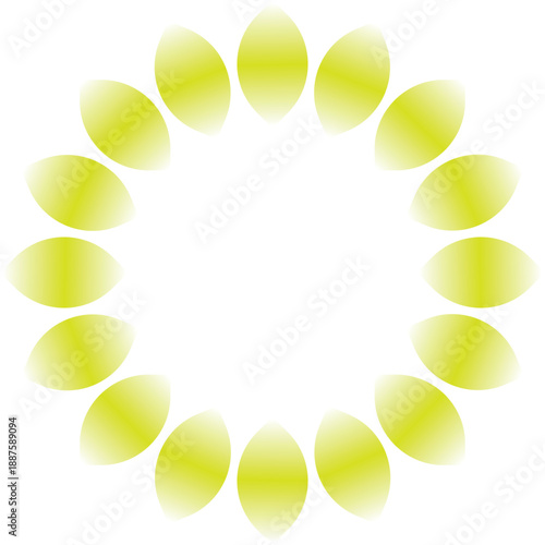 soft yellow petals vector illustration design