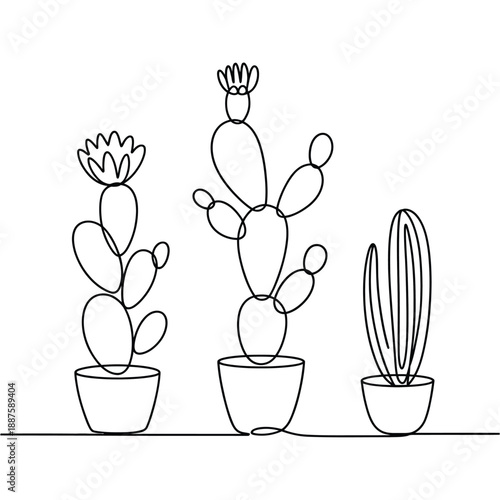 Cacti in pots on a shelf