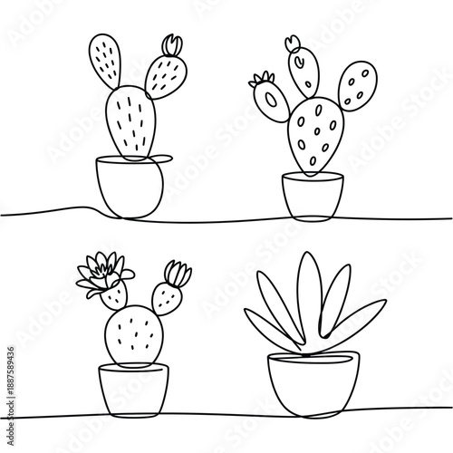 Cacti and succulents in pots on shelf