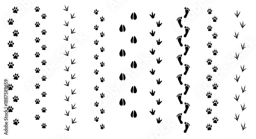 Tracks set of various animals and human
