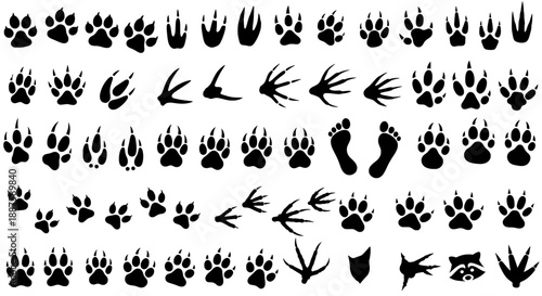 Paw print set of animal and human tracks