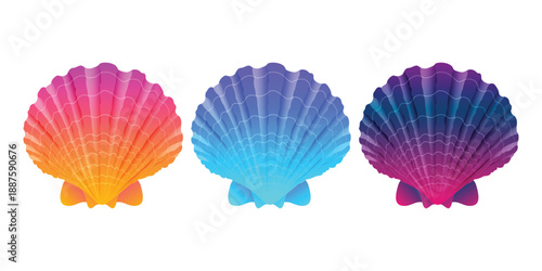 Set of colorful gradient 3D sea shell symbol icons. Shell background