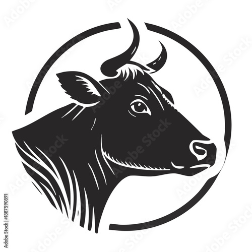 vector image of a cow