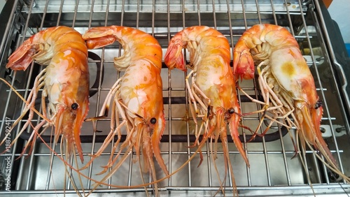 Collection of food cooking Shrimp gills realities Thai Shrimp Realistic Electric grilled Machine Home Cooking Thai Style 