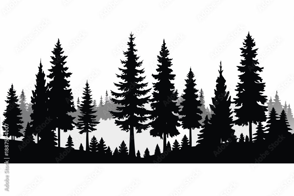 Obraz premium A scenic winter forest landscape features evergreen pine and fir trees covered in frost under a blue sky, creating a cold nature scene perfect for a Christmas holiday celebration