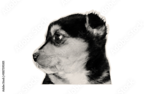 Halftone illustration of a puppy in side profile, isolated on a white background. Vintage print effect, dotted texture, retro graphic style and strong contrast. Cute dog portrait suitable for poster.
