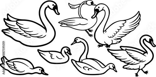 A collection of stylized illustrations featuring swans in various poses and actions against a transparent background. The swans are primarily white with hints of gray and detailed textures to simulate