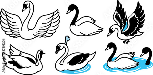 A collection of stylized illustrations featuring swans in various poses and actions against a transparent background. The swans are primarily white with hints of gray and detailed textures to simulate