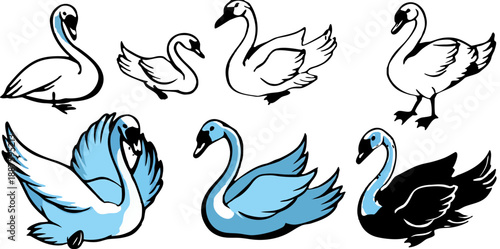 A collection of stylized illustrations featuring swans in various poses and actions against a transparent background. The swans are primarily white with hints of gray and detailed textures to simulate