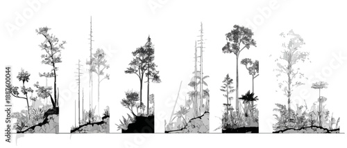 Ilustração vetorial em preto e branco de perfis de árvores e vegetação de floresta com fundo transparente.