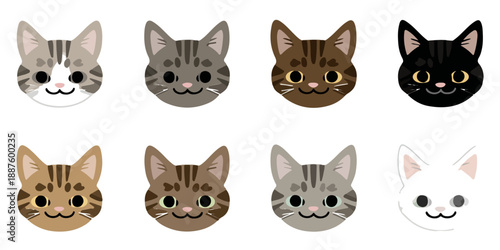 Ocho cabezas de gatos adorables con diferentes colores de pelaje atigrado y blanco sobre fondo transparente.
