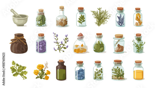 Coleção de frascos de vidro com ervas medicinais, especiarias e ingredientes naturais para alquimia ou fitoterapia.