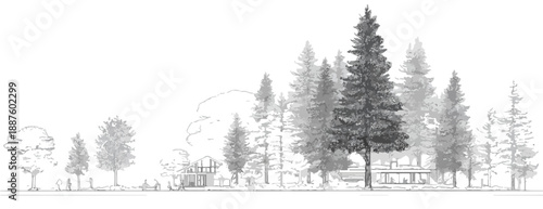 Disegno in scala di grigi di un gruppo di alberi, pini e latifoglie, con sfondo trasparente per architettura.