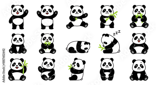 Cute Baby Panda Bears Engaged in Various Activities and Poses Collection