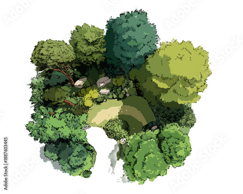 Vista aérea de um pequeno bosque verde com árvores densas e caminho, isolado em fundo branco, desenho vetorial.