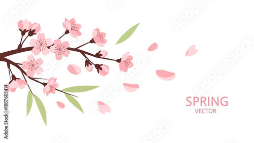 Cherry Blossom Branch Spring Vector Illustration