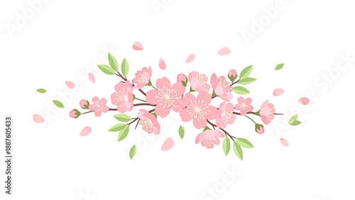 Cherry Blossom Branch with Falling Petals, Spring Floral Illustration