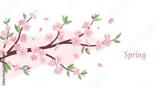 Cherry Blossom Branch with Falling Petals, Springtime Floral Illustration