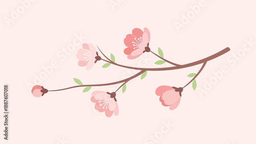 Delicate Cherry Blossom Branch with Pink Flowers and Buds