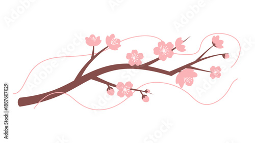 Delicate cherry blossom branch with pink flowers and graceful lines on white background