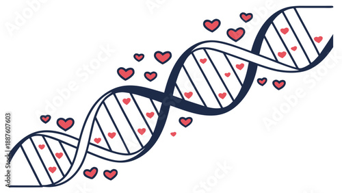 DNA Helix Formed by Tiny Hearts