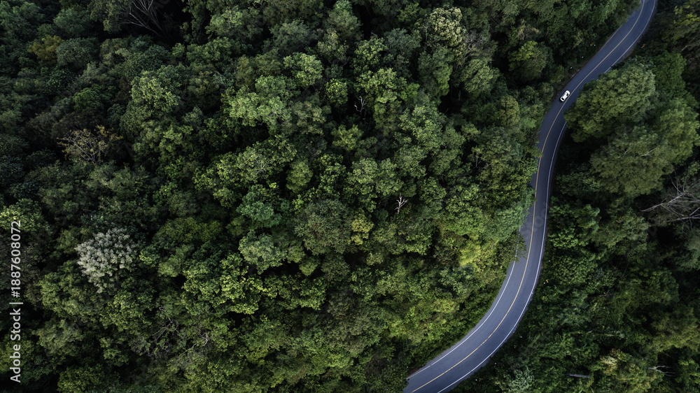 Obraz premium Top view road in beautiful autumn forest at sunset, trees with red and orange leaves , Beautiful landscape view from flying drone in Nature