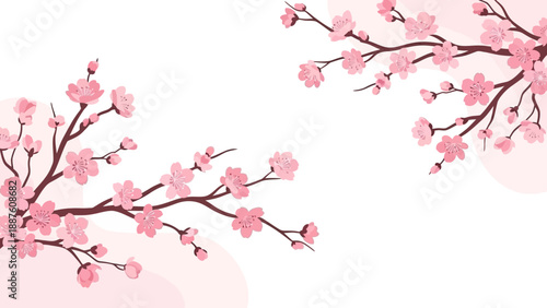Delicate Cherry Blossom Branches with Pink Flowers on White Background