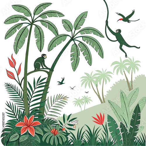 Monkeys and birds in tropical forest