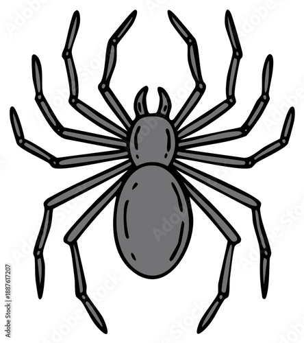 Stylized Gray Spider with Eight Legs Illustrated against White Background for Spooky Season Concept