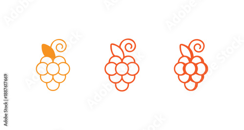 Filled Outline Grape Fruit Icon