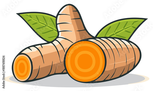 Healthy Orange Turmeric Roots with Green Leaves Fresh and Organic