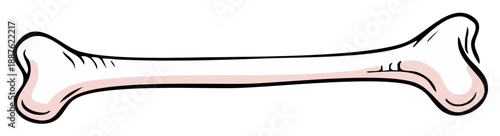 Cartoon dog bone, long white pet chew toy with rounded ends, isolated veterinary supply vector illustration.