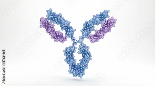 A 3D rendering of an antibody molecule, a Y-shaped protein crucial for the immune system's defense against pathogens.
