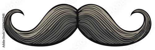 Stylized illustration of a gray mustache