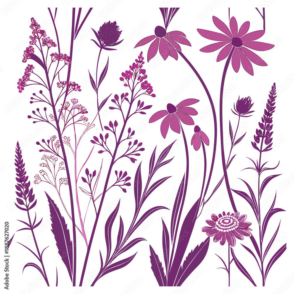 Fototapeta premium Purple wildflowers set on a white background.