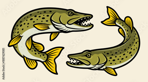 Two illustrated pike fish in a cartoon style with green bodies and yellow fins, facing opposite directions on a beige background