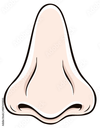 Cartoon Illustration of a Human Nose, Anatomical Perspective in Color, Isolated