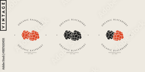 Vintage style raspberry and blackberry. Organic berry logo