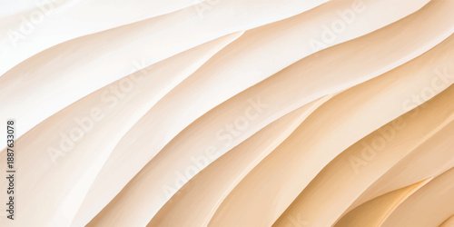 Close-up of a cream-colored seashell on a white background with a soft silky texture and gentle flowing curves.