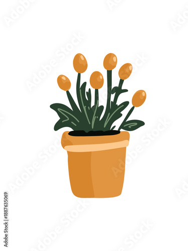 minimal indoor plant arrangement for modern home