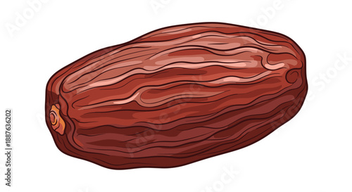 Detailed illustration of a single dried brown date fruit with characteristic wrinkled skin isolated on a white background.