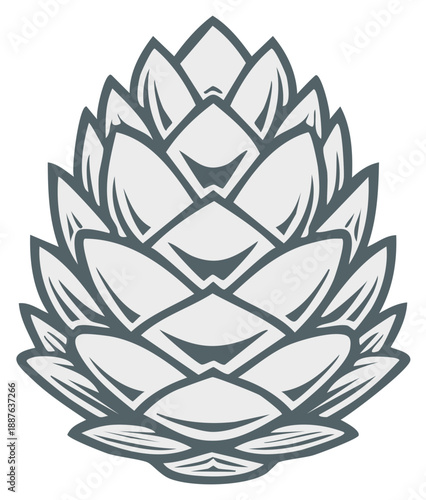 Stylized botanical illustration of a hop cone used in brewing beer and as an herbal remedy