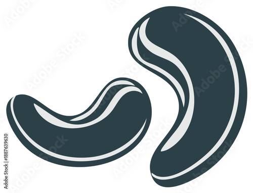 Simple Illustration of Cashew Nuts Delicious Edible Food Vegetarian Snack Natural Source