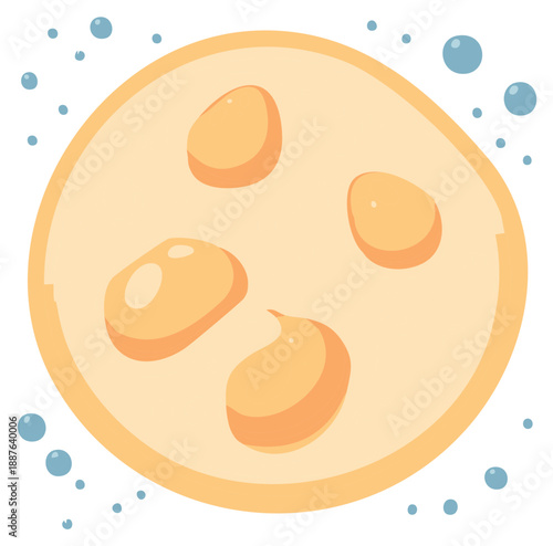Stylized vector illustration of a microorganism or yeast cell budding under a microscope with bubbles