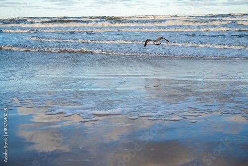 windy and freezing winter day at the Baltic sea beach in Ustka, Poland