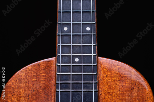 Bilde på lerret Ukulele neck and body close up
